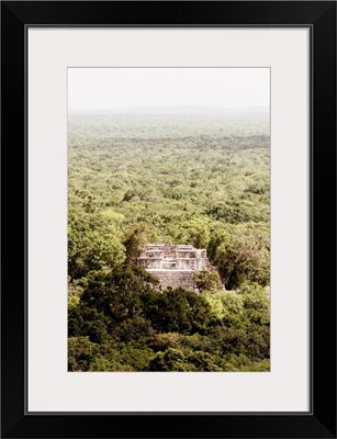 Calakmul, Ancient Maya City within the jungle VI