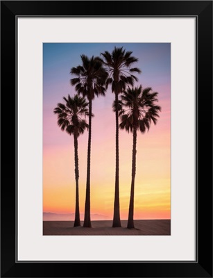 California Dreaming - Beach Sunset Palms