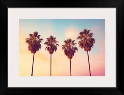 California Dreaming - L.A. Sunset Palms