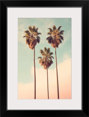 California Dreaming - Palms Paradise