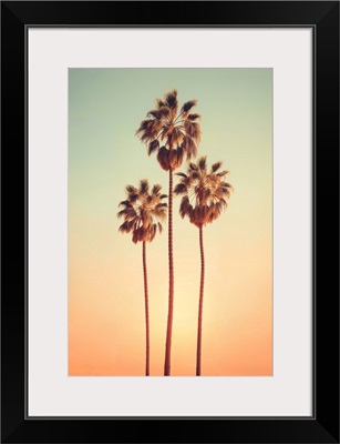 California Dreaming - Sunrise Palms