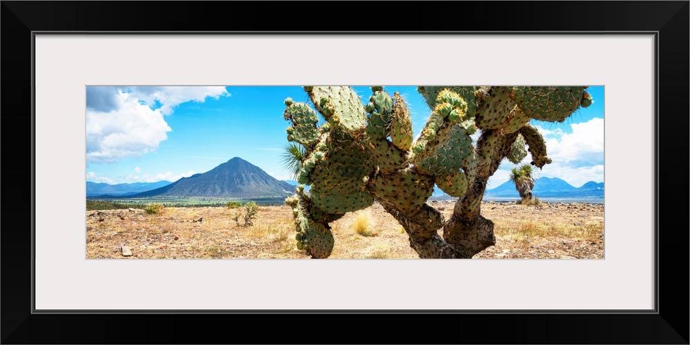 Panoramic landscape photograph of a desert with mountains in the background and a big cactus in the foreground. From the V...