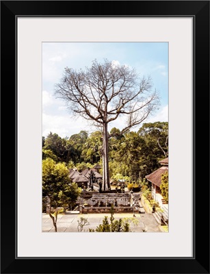 Dreamy Bali - The Sacred Tree