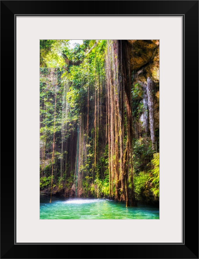 Photograph of the hanging roots at Ik-Kil Cenote, Ik-Kil archaeological park, Mexico. From the Viva Mexico Collection.