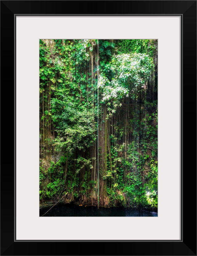 Photograph of the hanging roots at Ik-Kil Cenote, Ik-Kil archaeological park, Mexico. From the Viva Mexico Collection.