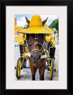 Izamal Yellow City, Horse with a straw Hat