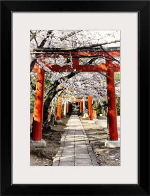 Japan Rising Sun Collection - Cherry Blossoms and Torii