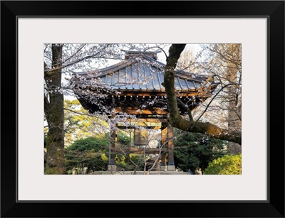 Japan Rising Sun Collection - Gotokuji Temple