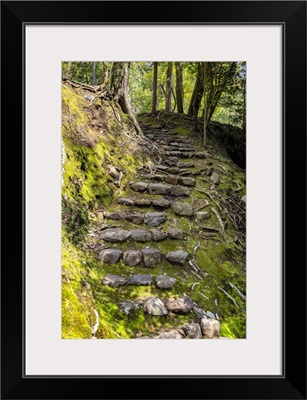Japan Rising Sun Collection - Natural Staircase II
