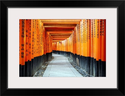 Japan Rising Sun Collection - Torii Gates at Fushimi Inari Shrine