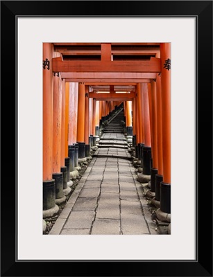 Japan Rising Sun Collection - Torii Gates in Fushimi Inari Shrine