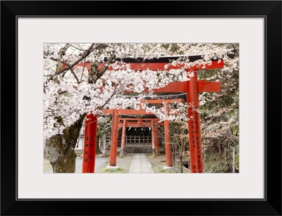Japan Rising Sun Collection - Yoshida Shrine Torii