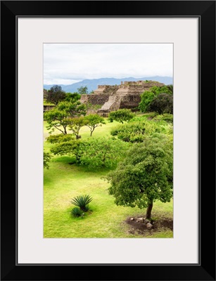 Mayan Temple of Monte Alban II