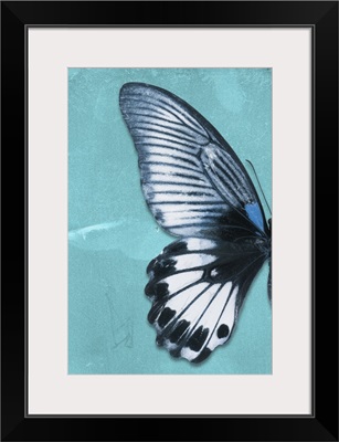 Miss Butterfly Agenor Profil - Turquoise