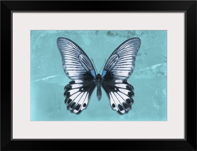Miss Butterfly Agenor - Turquoise