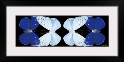 Miss Butterfly Duo Catoploea Pan - X-Ray Black Edition