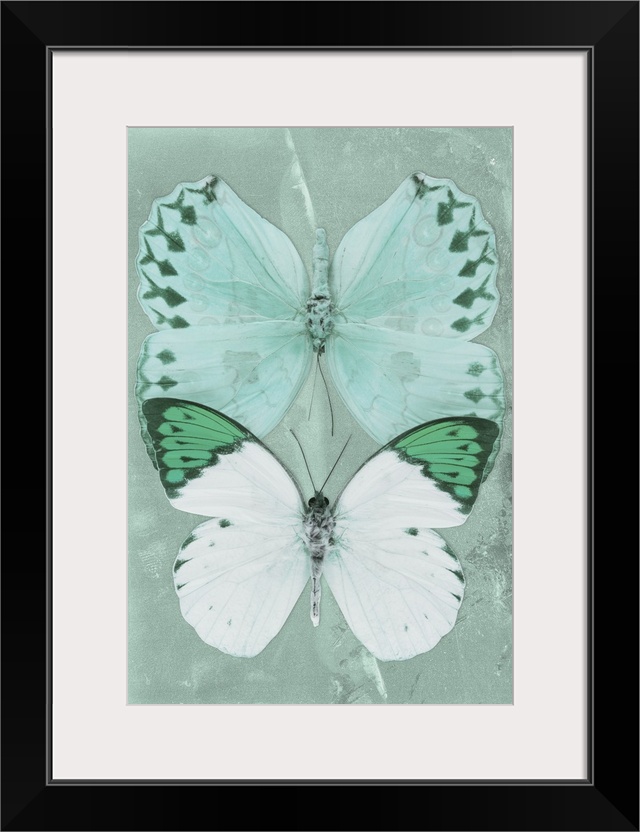 Two butterflies overlaid on a coral green sparkly background.