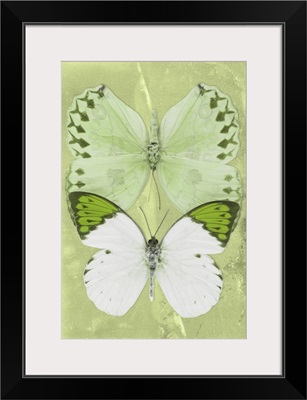 Miss Butterfly Duo Formoia Ii - Lime Green