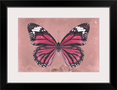 Miss Butterfly Genutia - Hot Pink