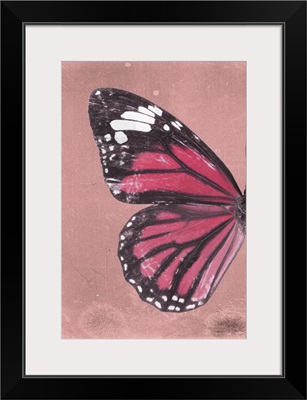 Miss Butterfly Genutia Profil - Hot Pink