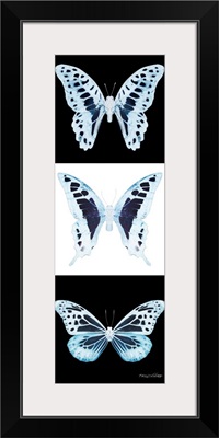 Miss Butterfly X-Ray Pano Ii