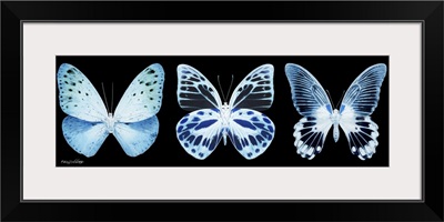 Miss Butterfly X-Ray Panoramic Black Iii