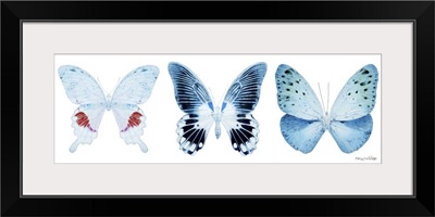 Miss Butterfly X-Ray Panoramic White