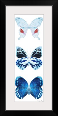 Miss Butterfly X-Ray White Pano