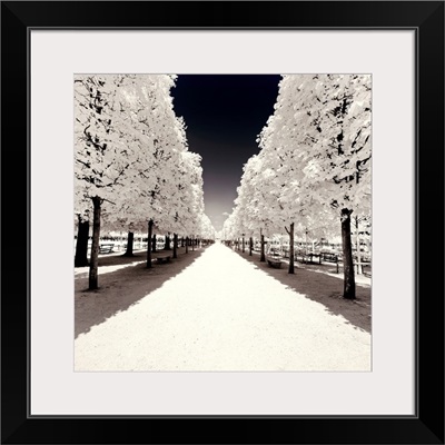 Paris Winter White Collection - Convergence