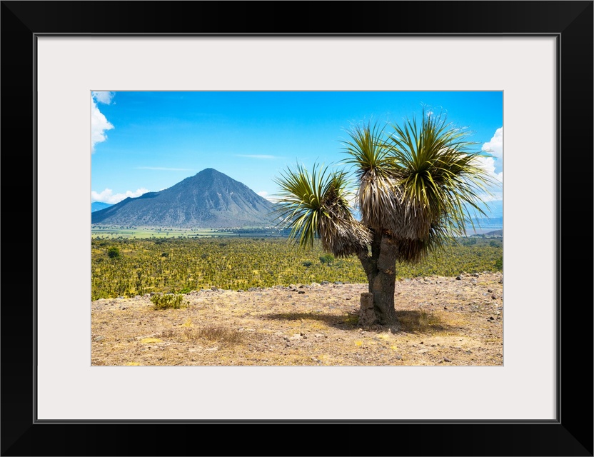 Desert landscape photograph with a mountain in the background located in Puebla, Mexico. From the Viva Mexico Collection.