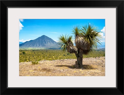 Puebla IV, Desert Landscape