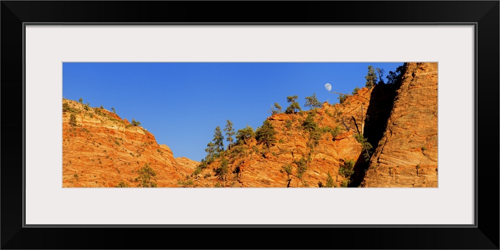 The moon is visible over the edge of the orange cliffs in Zion National Park in Utah.