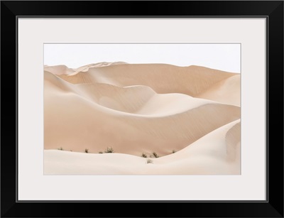 Wild Sand Dunes - Almond Desert