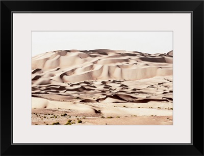 Wild Sand Dunes - Khaki Desert