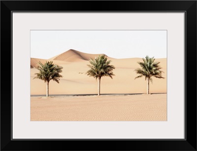 Wild Sand Dunes - Palm Trees