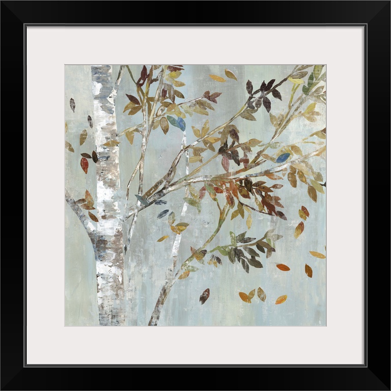 A birch tree with leafy branches in the fall.