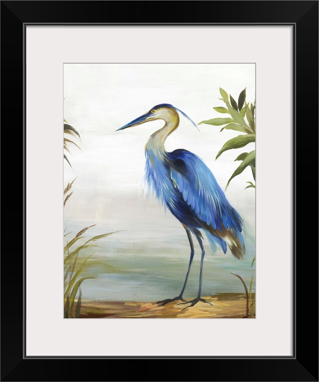 Blue Heron