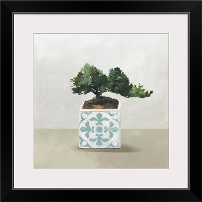 Bonsai Tree II