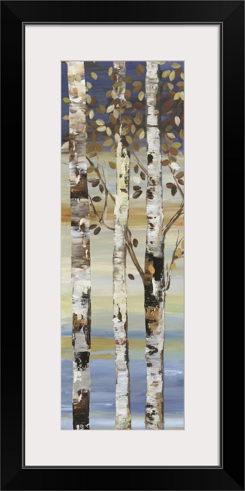 Dark Birch II