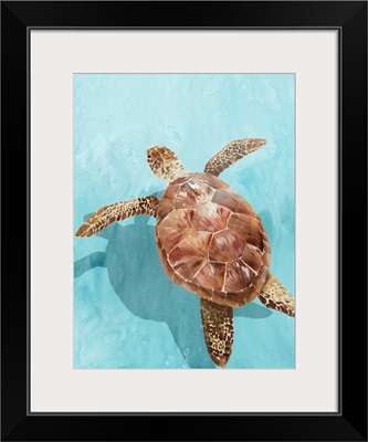 Ocean Deep Turtle II