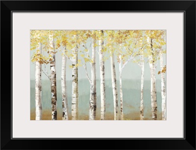 Soft Birch