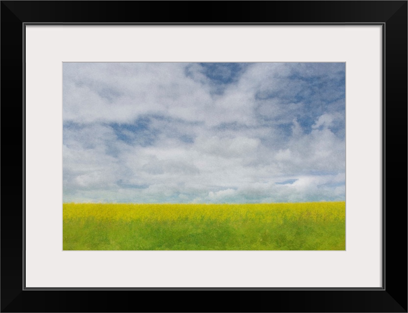 Pictorialist photo of a pretty canola crop ripening under a cloudy prairie sky.