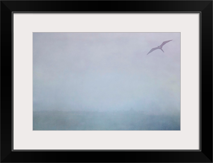 Pictorialist photo of a Magnificent Frigatebird in the rain along the Gulf of Mexico.