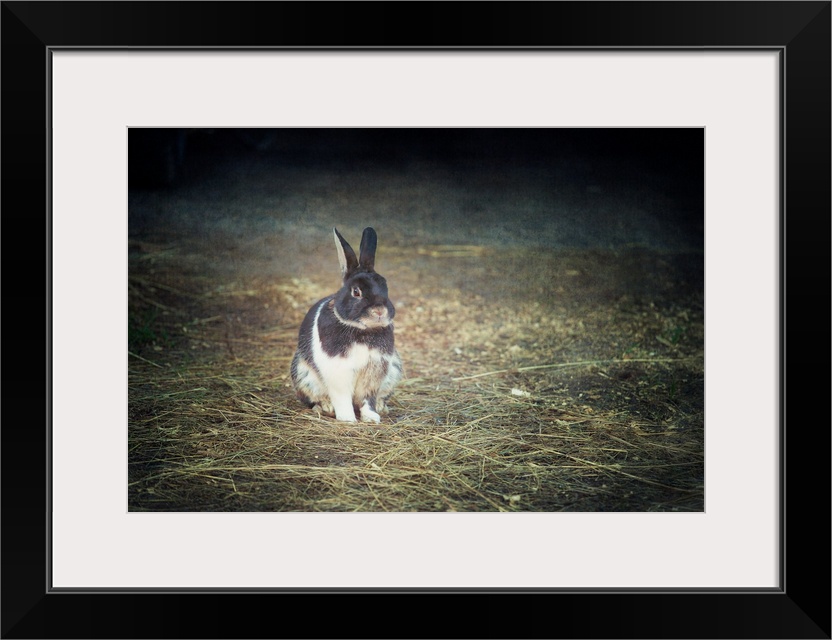 A photo with a vignette of a bunny fixed on a pile of loose grass.