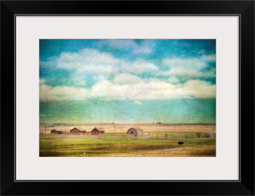 A lone cow and barns on a prairie farm.