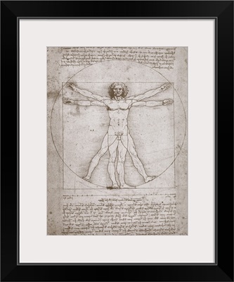 Proportions of the Human Figure According to Vitruvius