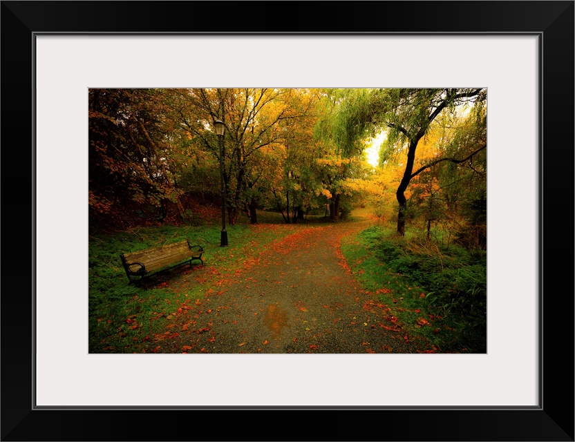 A bench along the path at Bowring Park Newfoundland. Autumn is in full bloom, littering the path and trees with its colours.