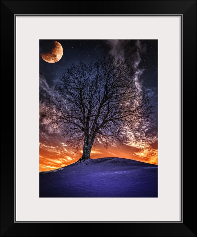 A red moon over a lone tree on a hill during a bright sunset, Norway.