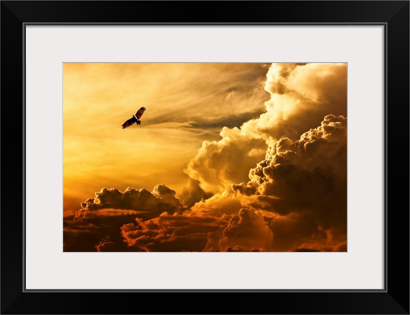 An eagle flying in the sky over large clouds at sunset.