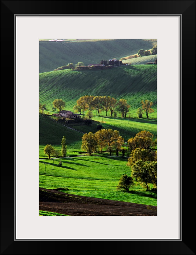 Verdant hills in the countryside, Marche Region, Italy.